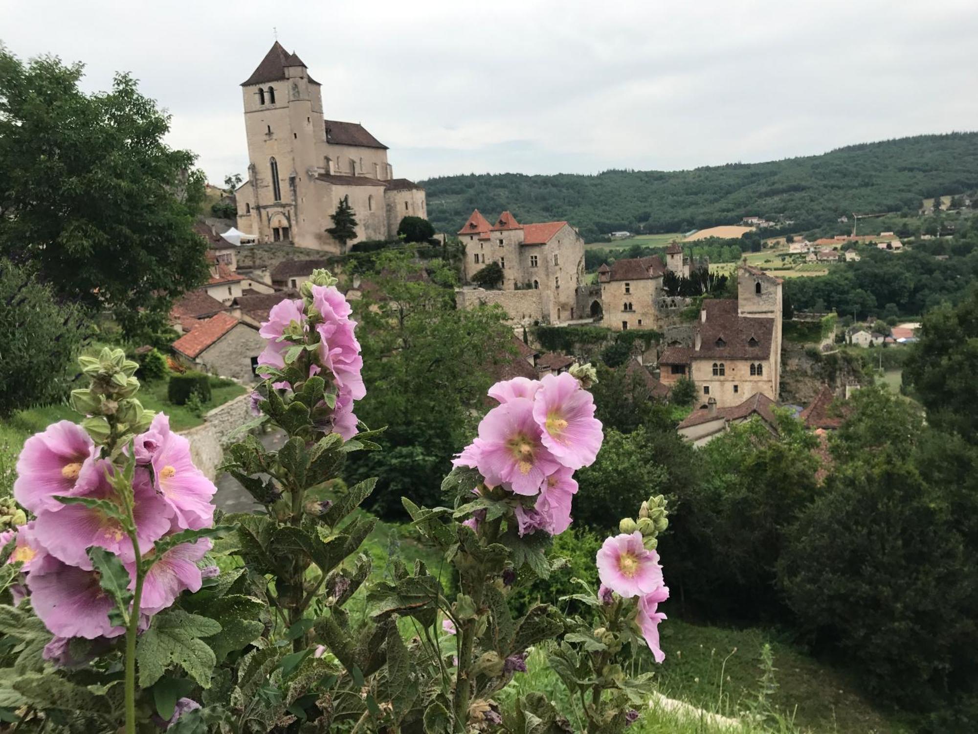 Manoir De Rieuzal Bed and Breakfast Loubressac Εξωτερικό φωτογραφία