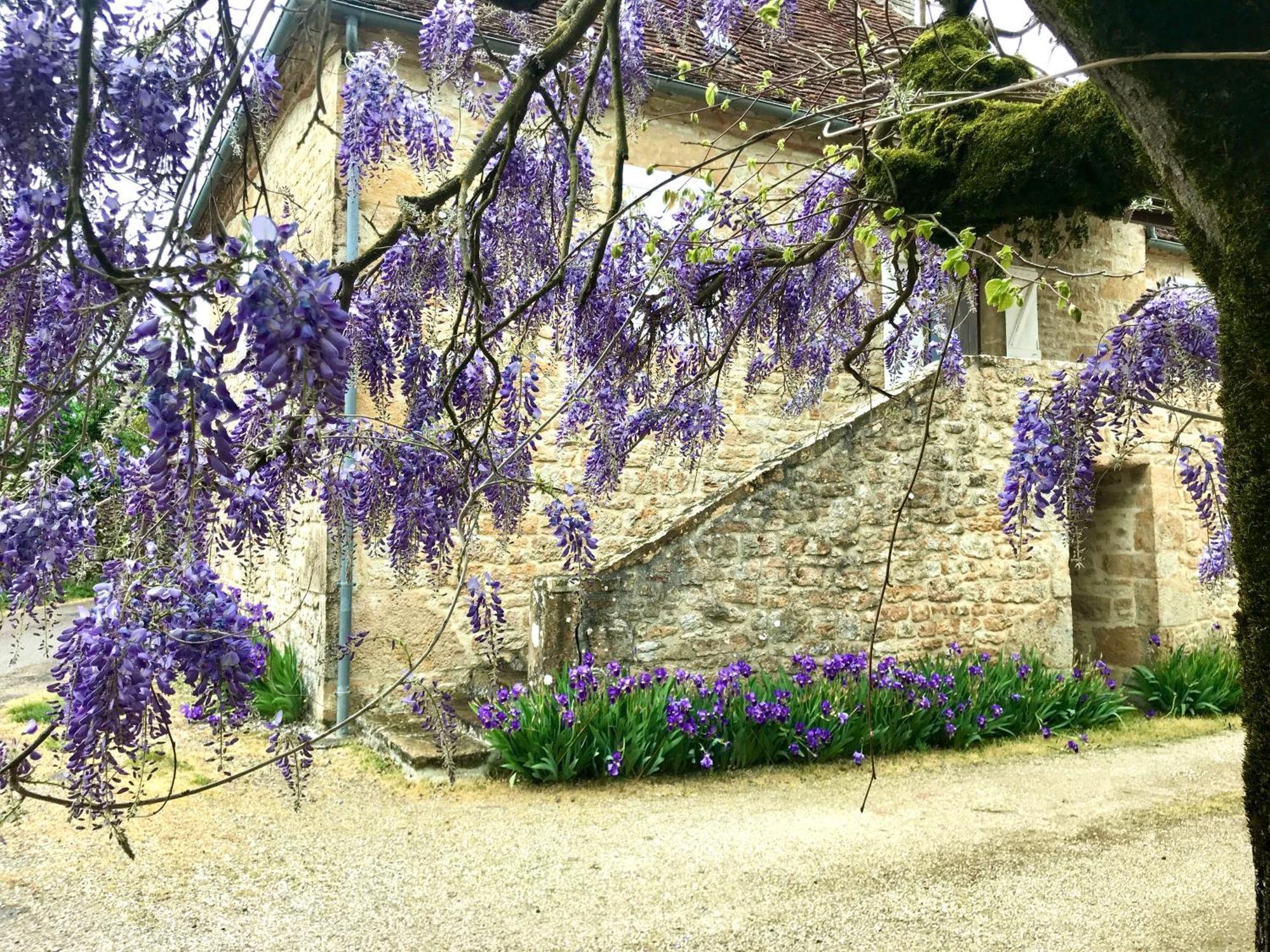 Manoir De Rieuzal Bed and Breakfast Loubressac Εξωτερικό φωτογραφία