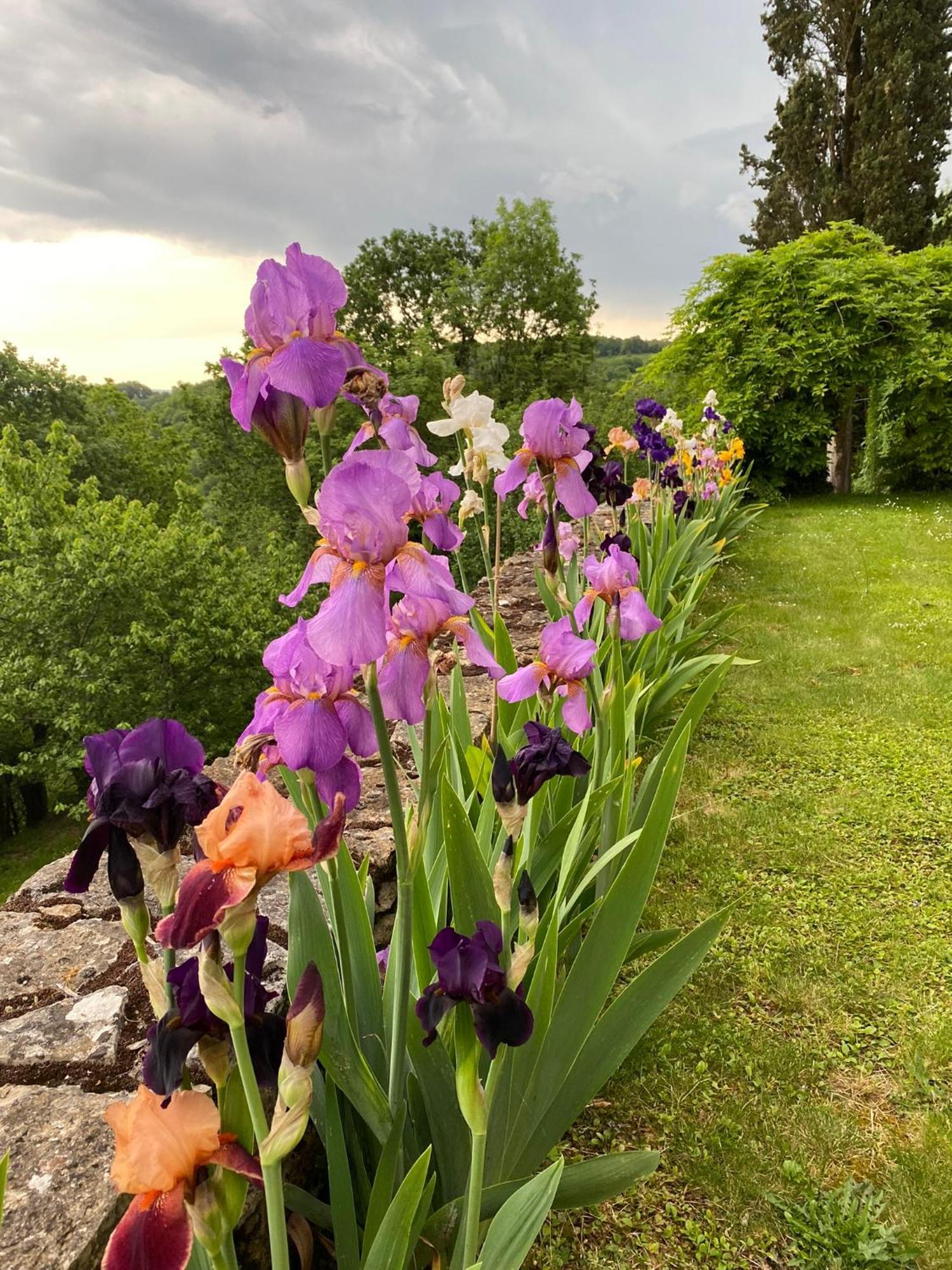 Manoir De Rieuzal Bed and Breakfast Loubressac Εξωτερικό φωτογραφία