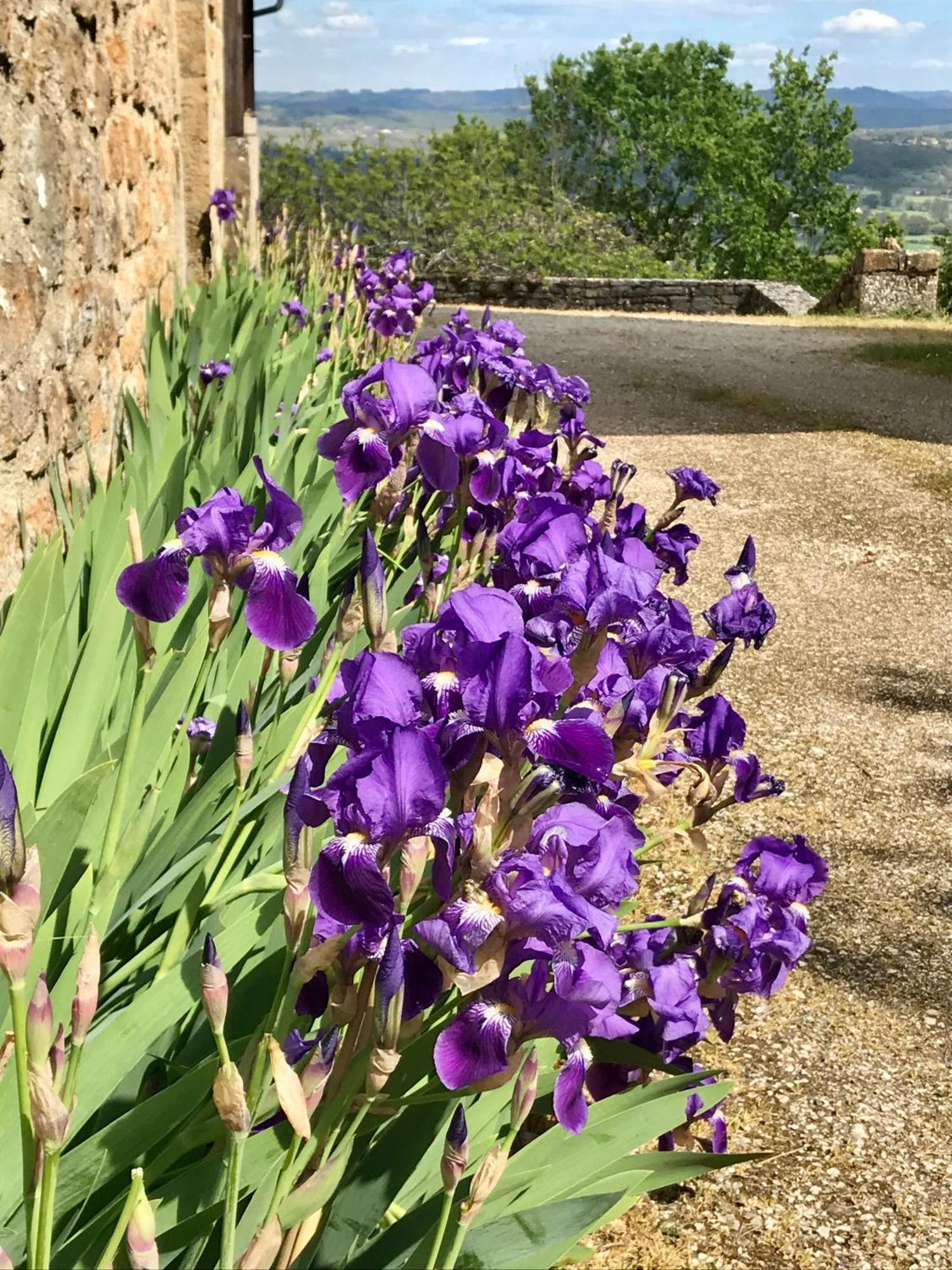 Manoir De Rieuzal Bed and Breakfast Loubressac Εξωτερικό φωτογραφία
