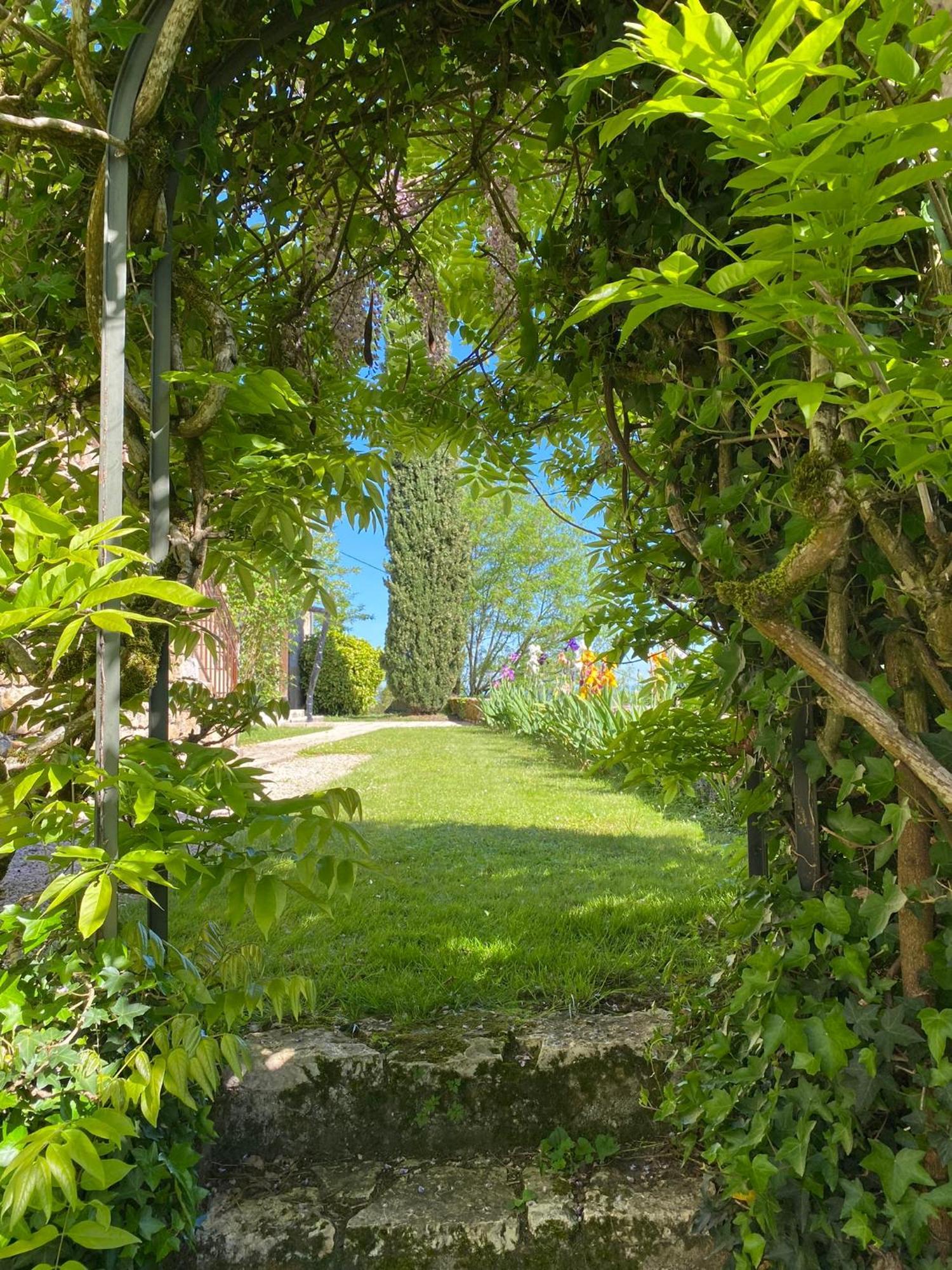 Manoir De Rieuzal Bed and Breakfast Loubressac Εξωτερικό φωτογραφία