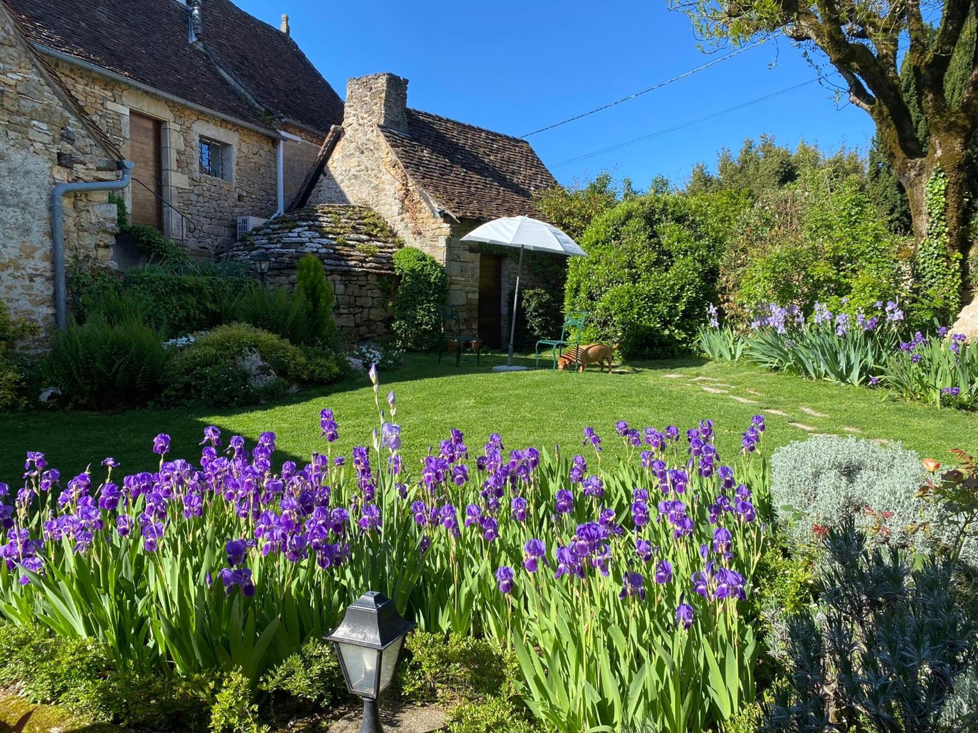 Manoir De Rieuzal Bed and Breakfast Loubressac Εξωτερικό φωτογραφία