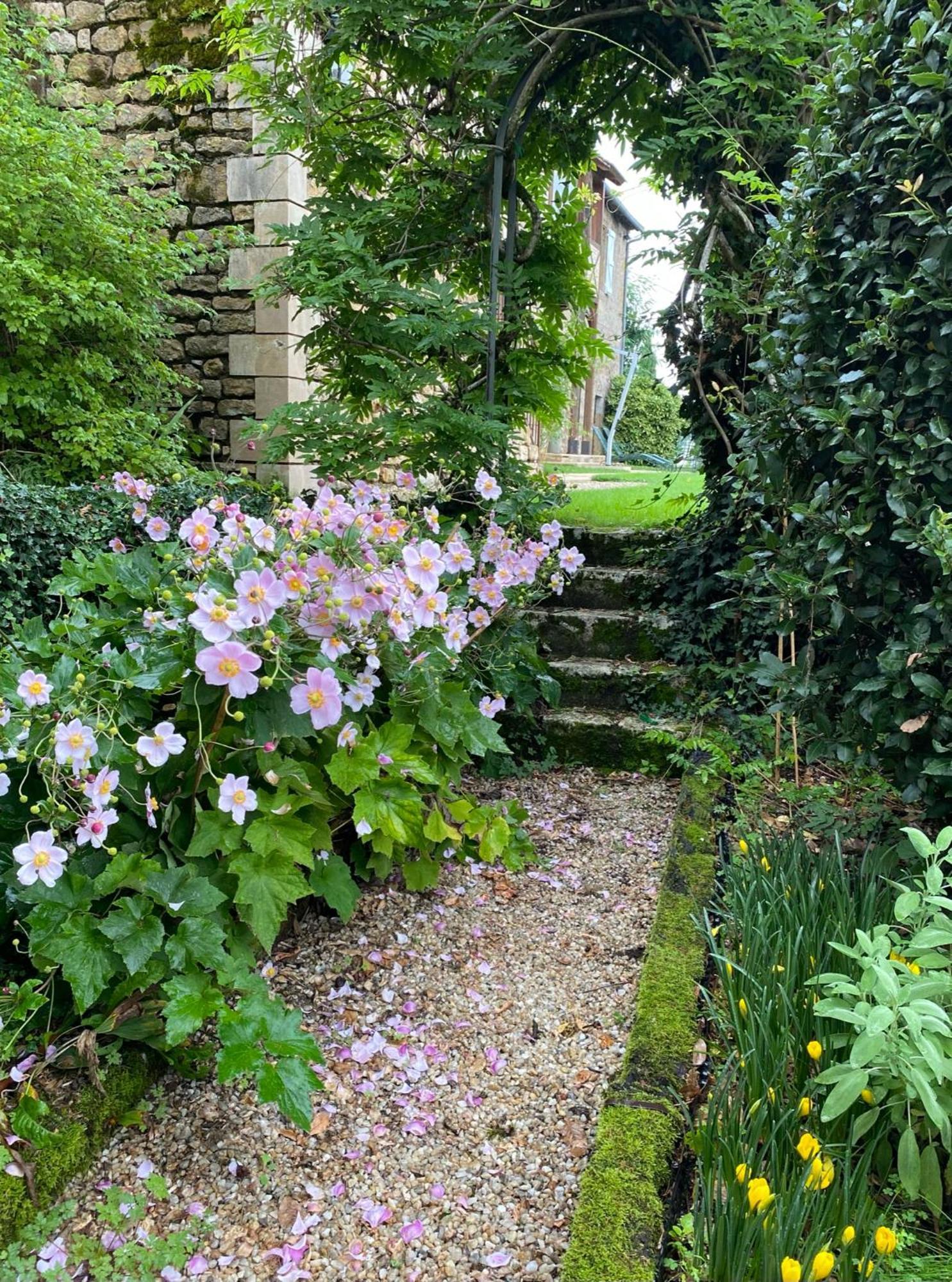 Manoir De Rieuzal Bed and Breakfast Loubressac Εξωτερικό φωτογραφία