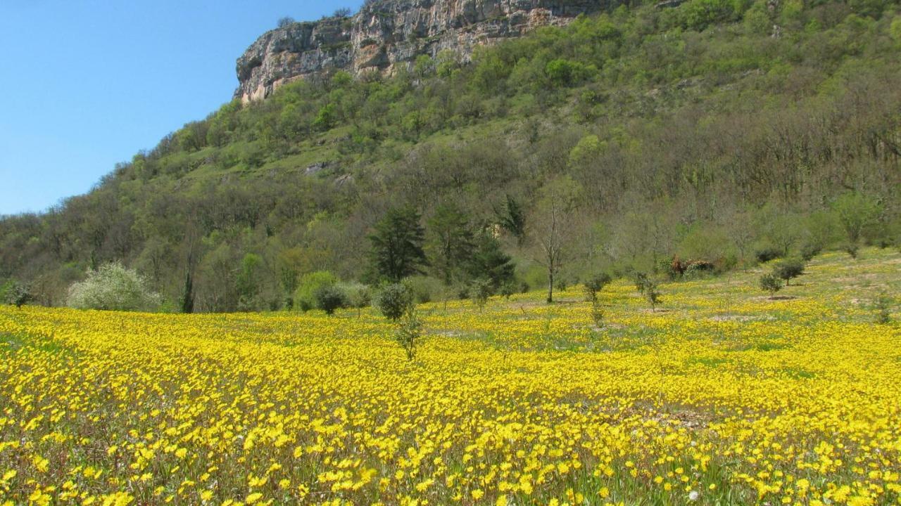 Manoir De Rieuzal Bed and Breakfast Loubressac Εξωτερικό φωτογραφία
