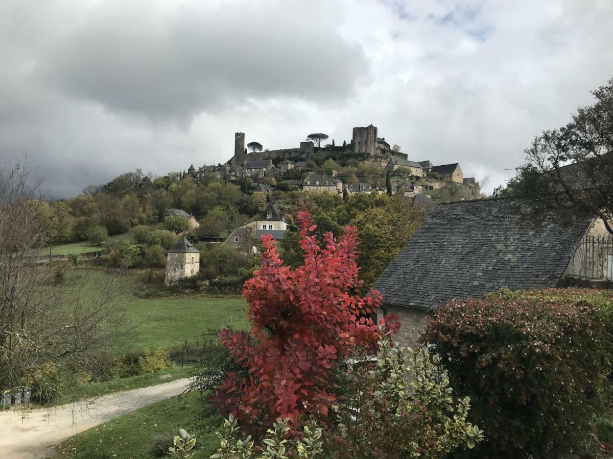 Manoir De Rieuzal Bed and Breakfast Loubressac Εξωτερικό φωτογραφία